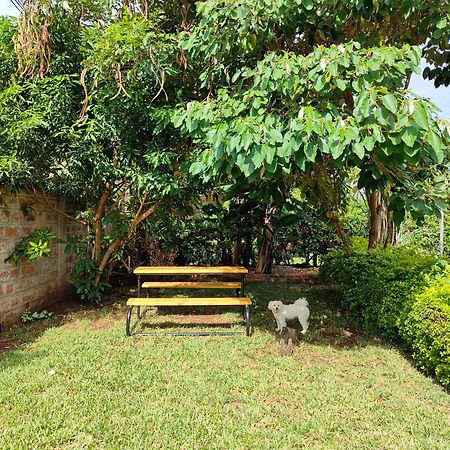 Appartamento Milimani Drive Livings Kisumu Esterno foto