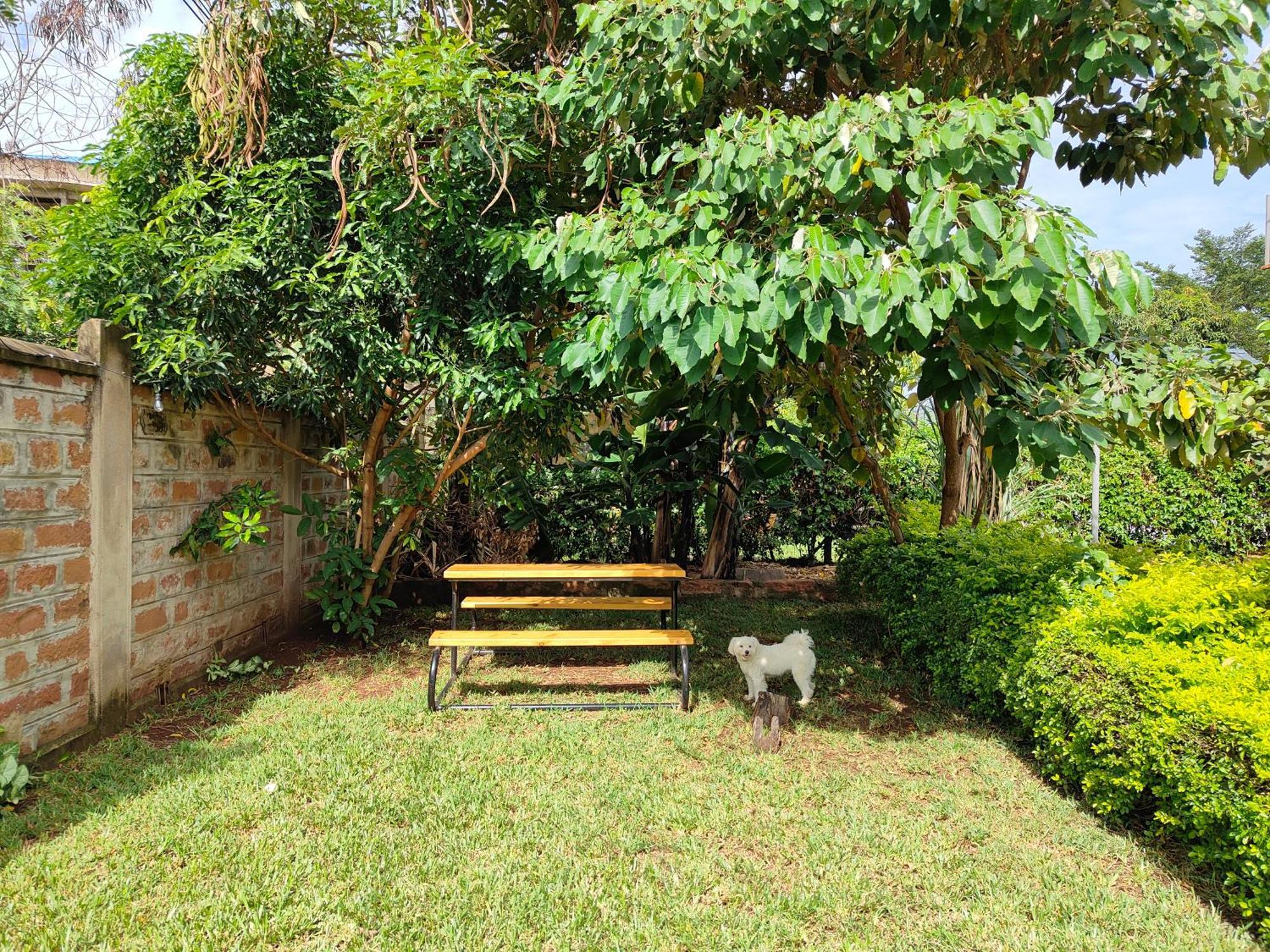 Appartamento Milimani Drive Livings Kisumu Esterno foto