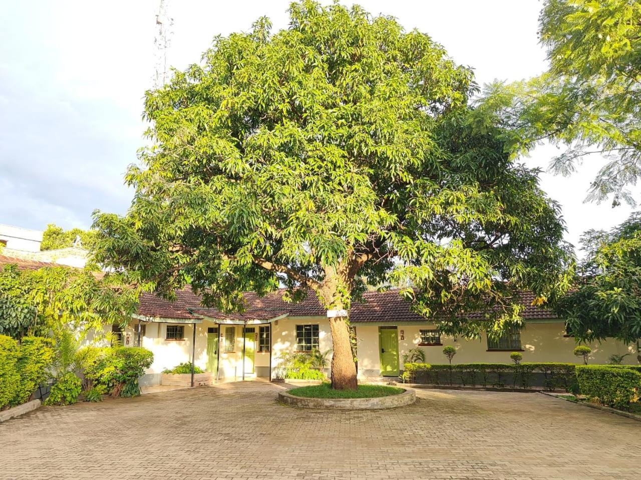 Appartamento Milimani Drive Livings Kisumu Esterno foto